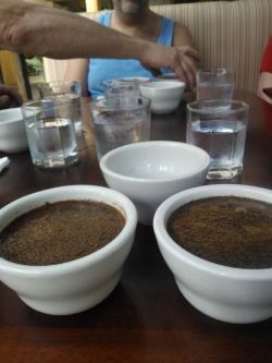 Finca Rosa Blanca Coffee Plantation Review