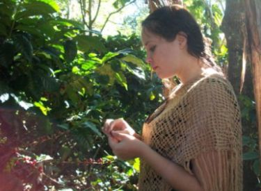 Finca Rosa Blanca Coffee Plantation Review