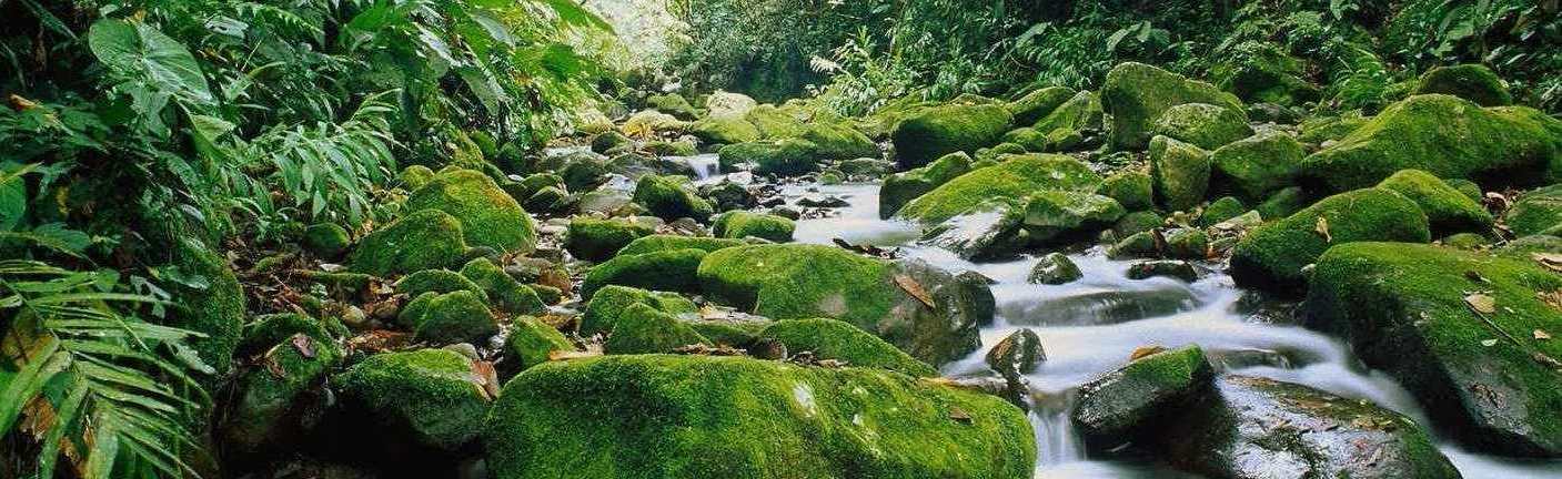 guided hiking tours costa rica