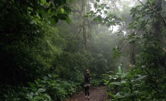 TOP 4 COSTA RICA CLOUD FORESTS