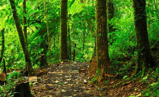 Best Costa Rica Hiking Trails