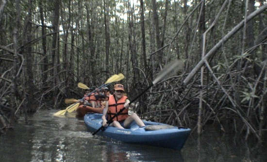 Top Costa Rica Jungle Tours & Mangrove Excursions