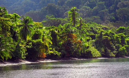 Best Costa Rica National Parks