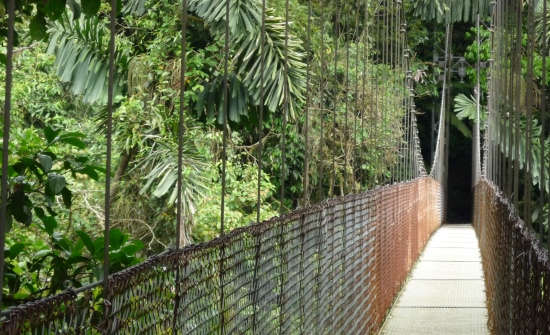 9 Best Costa Rica Zip Line & Canopy Tours
