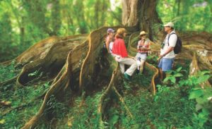 5 Best Costa Rica Rainforest Destinations | Costa Rica Experts