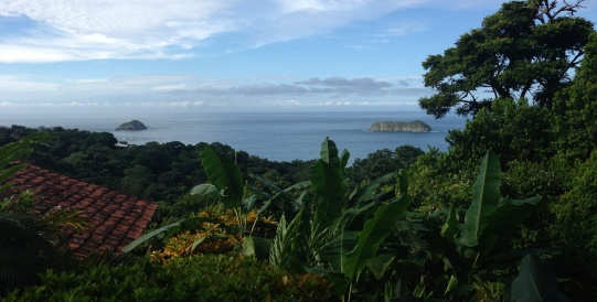 Things to Do in Manuel Antonio National Park