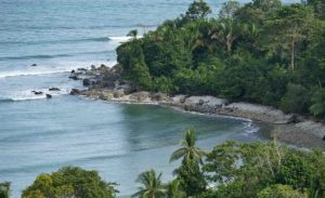 Best Things To Do on the Osa Peninsula | Costa Rica Experts