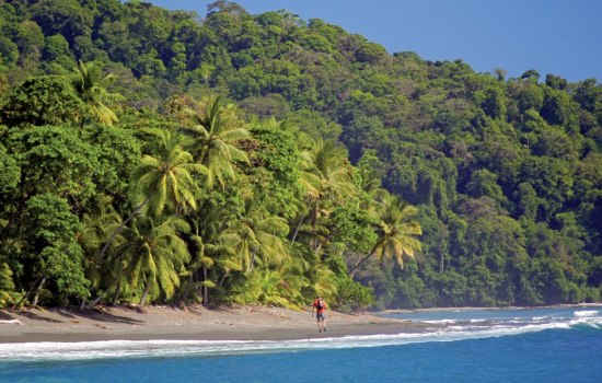 Explore the South Pacific Coast of Costa Rica