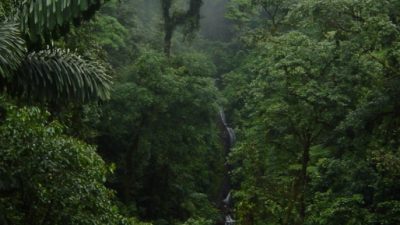 TOP COSTA RICA JUNGLE & MANGROVE EXCURSIONS