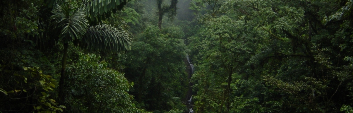 best rainforest tour costa rica