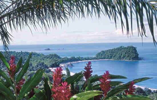 Things to Do in Manuel Antonio National Park & Quepos, Costa Rica