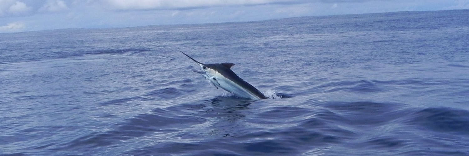 Best Places for Deep Sea & Inshore Sport Fishing in Costa Rica