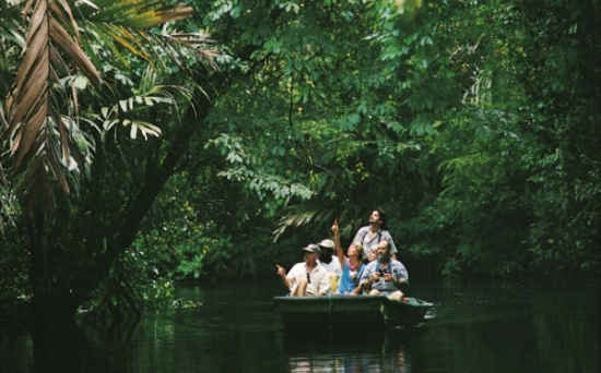 Top Things to do at Tortuguero National Park