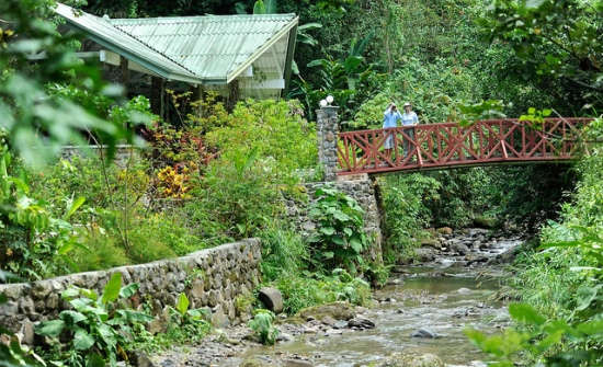 Canopy Lodge, Panama