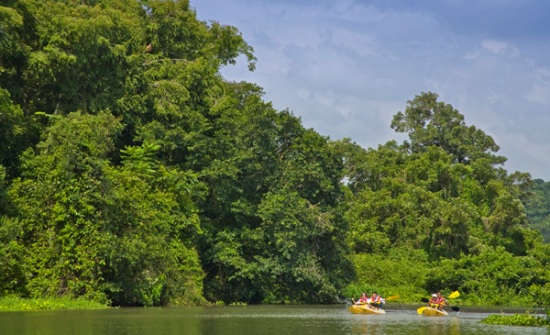 Gamboa Rainforest Resort, Panama