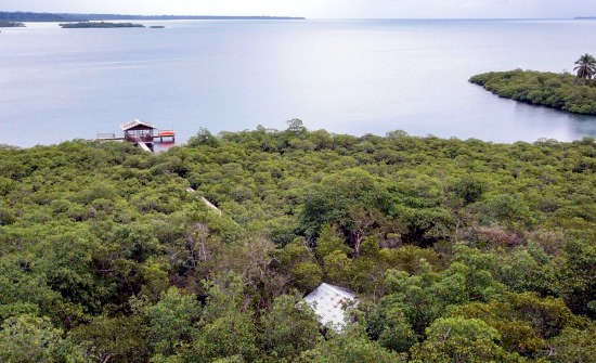 Tranquilo Bay Adventure Eco Lodge, Panama