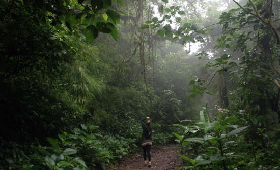 6 Reasons To Add Monteverde To Your Bucket List