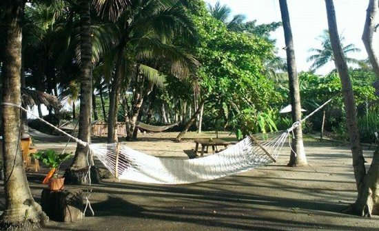 A Costa Rica Blue Zone Retreat on the Nicoya Peninsula