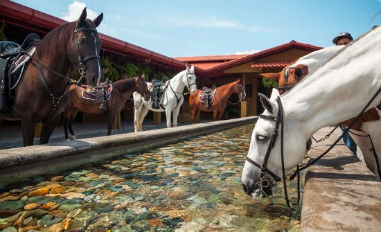 Hacienda AltaGracia, Costa Rica