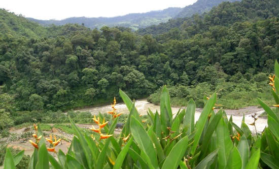 Stay at Rafiki Safari Tent Camp, Costa Rica