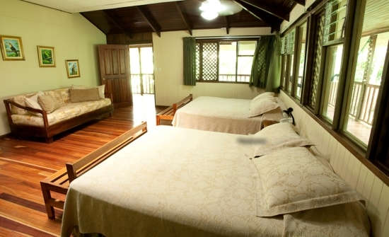 Stay at Selva Verde Lodge, Costa Rica