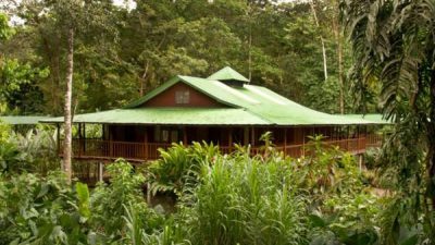 Stay at Selva Verde Lodge, Costa Rica