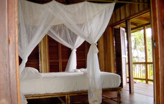 Bosque del Cabo Rainforest Lodge, Costa Rica