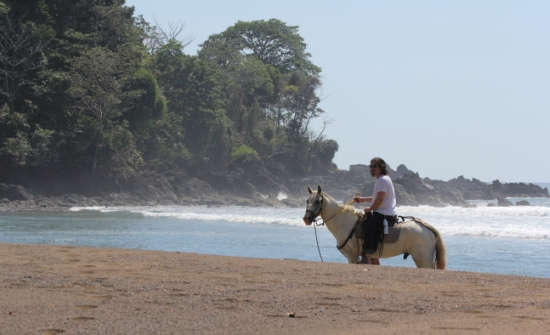 Copa De Arbol Beach & Rainforest Resort, Costa Rica