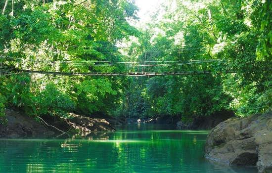 La Paloma Lodge, Costa Rica