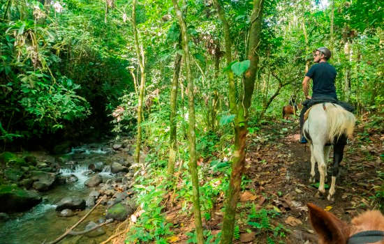 Amor Arenal horseback riding