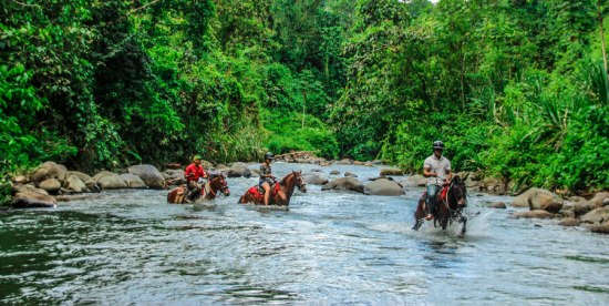 The Springs Resort and Spa at Arenal Volcano