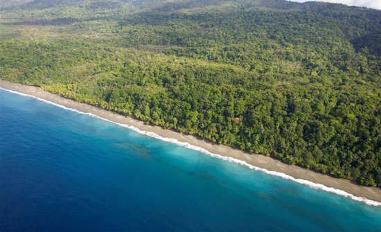 Corcovado National Park Beach