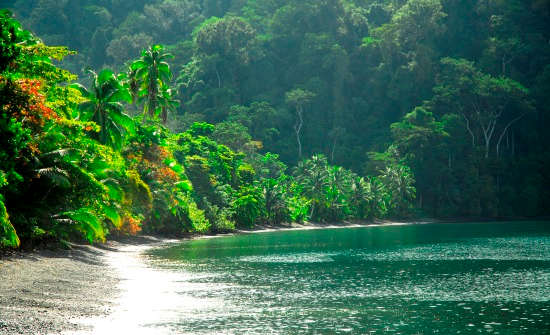 A Guide To Visiting Corcovado National Park