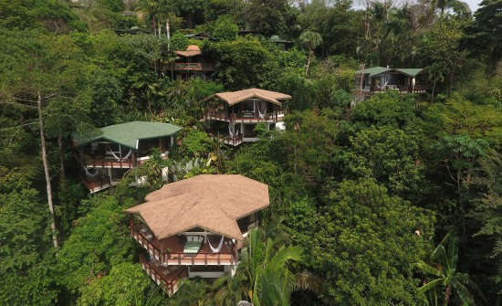 6 Best Costa Rica Treehouse Hotels
