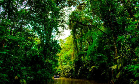 Things to Know Before Visiting Tortuguero National Park