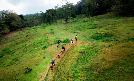 Origins Luxury Lodge horseback riding