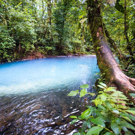 El Teñidero Rio Celeste