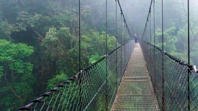 Arenal Hanging Bridges Hike