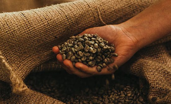 Buy Costa Rica Coffee