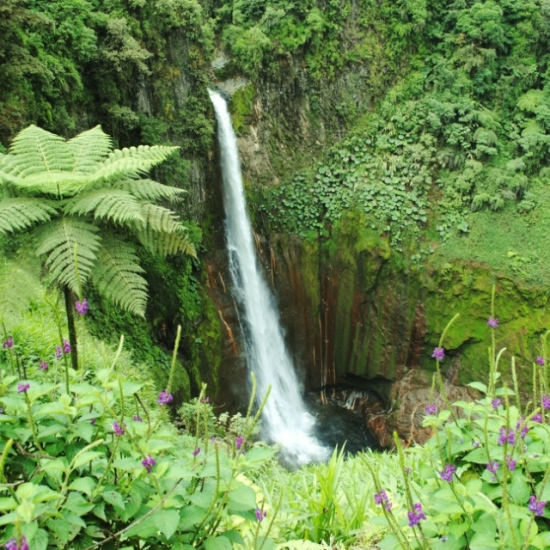 Bajos del Toro Waterfall