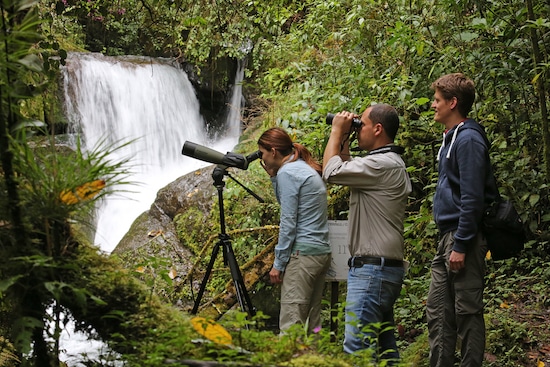 Trogon Lodge birding