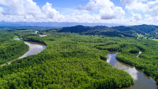 Sierpe National Wetlands