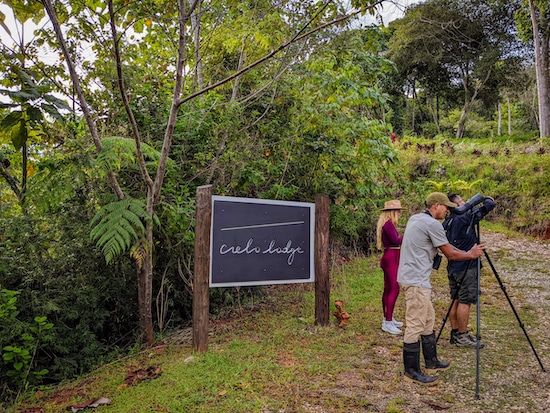 Cielo Lodge wildlife excursions osa