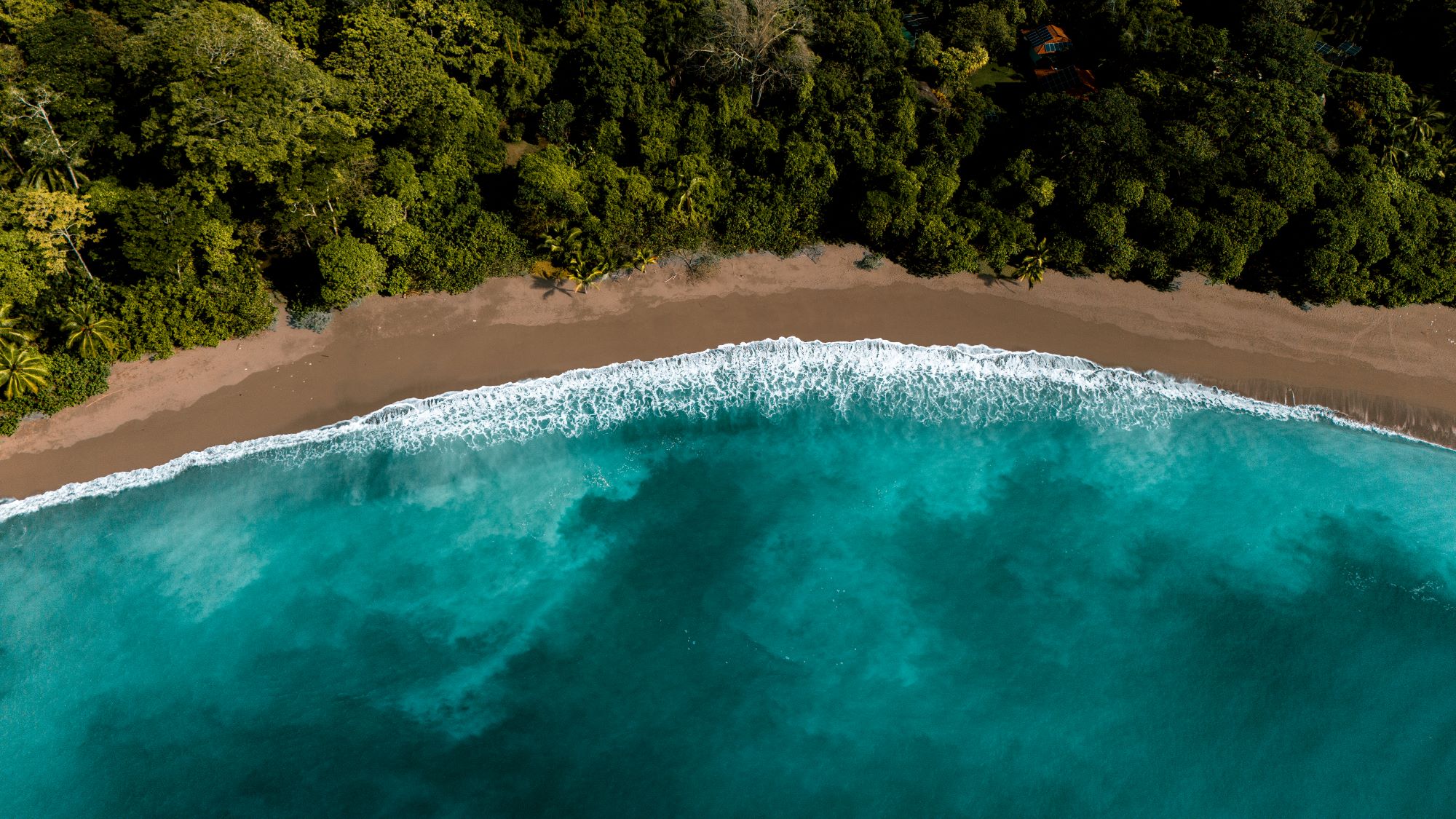 Playa Sombrero Beach