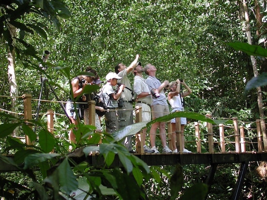 Costa Rica in October birding