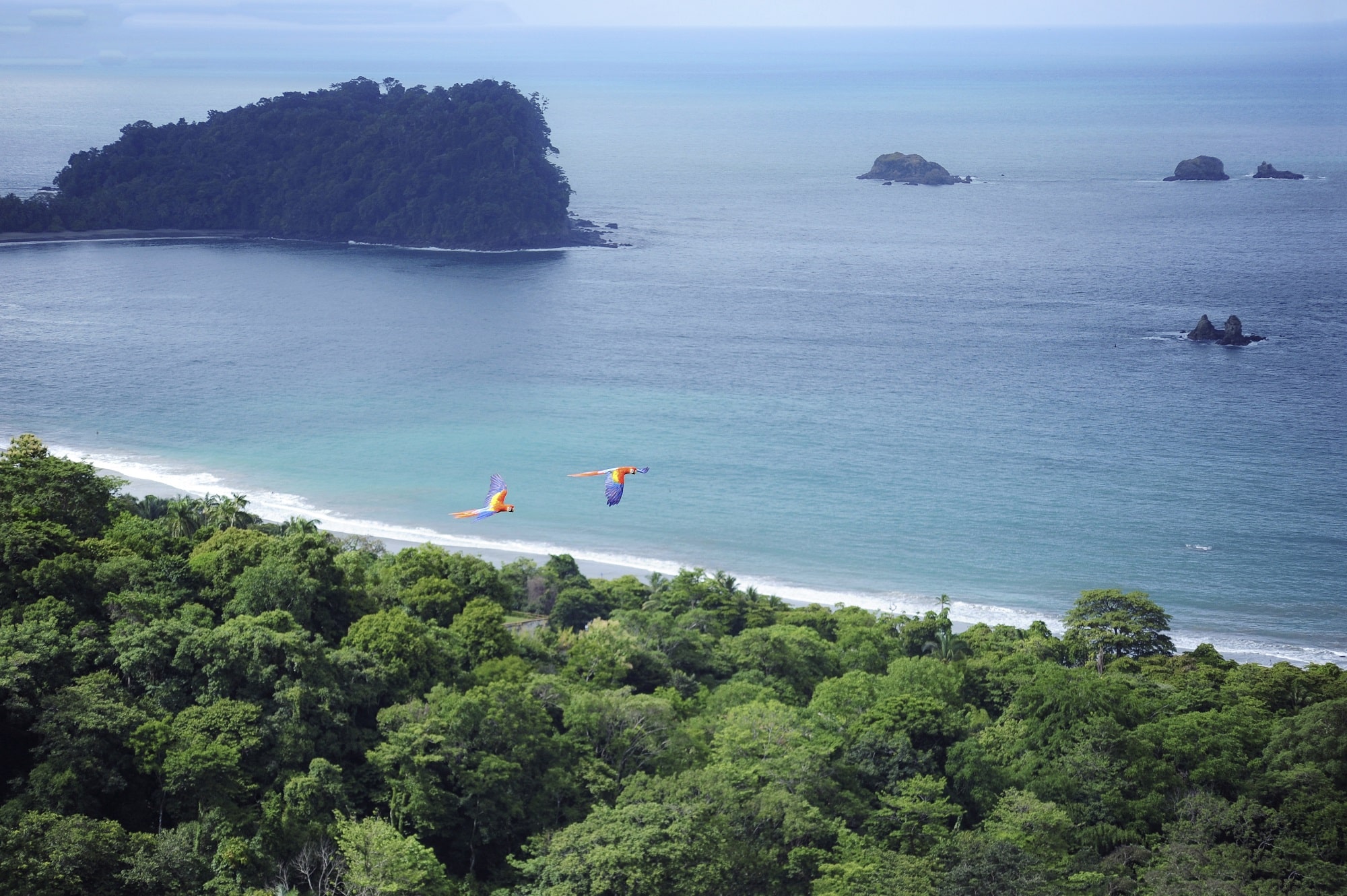 Manuel Antonio Rainforest and Beach